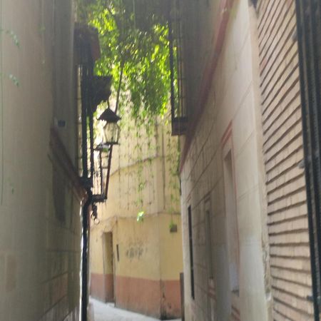 La Casa De Pepa Apartment Seville Ngoại thất bức ảnh