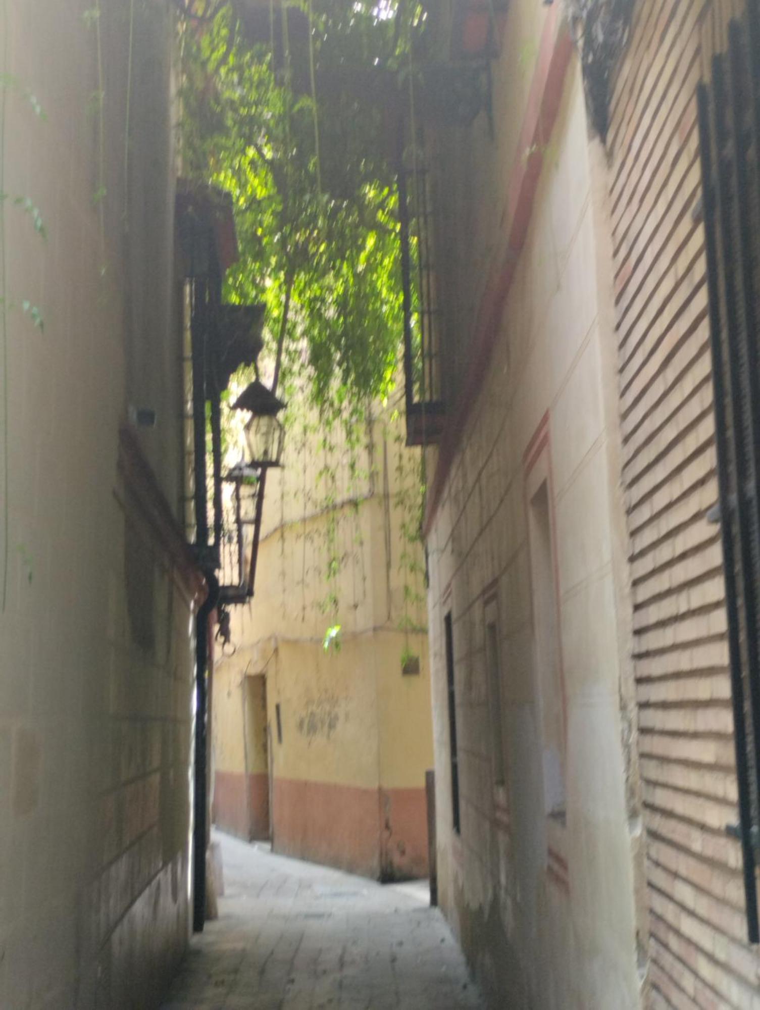 La Casa De Pepa Apartment Seville Ngoại thất bức ảnh