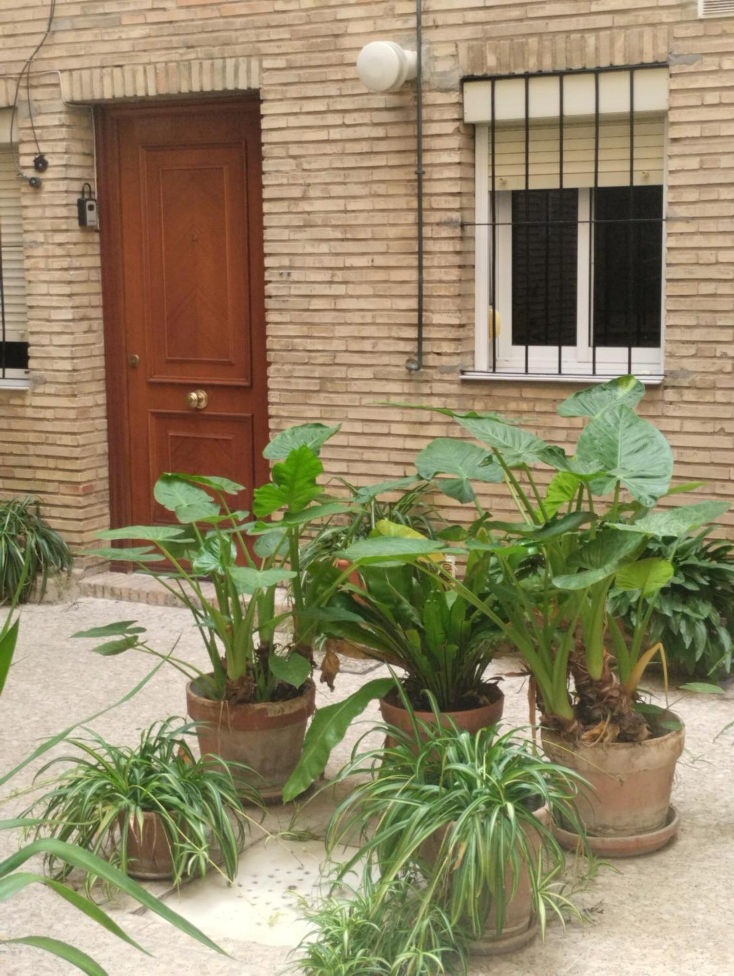 La Casa De Pepa Apartment Seville Ngoại thất bức ảnh