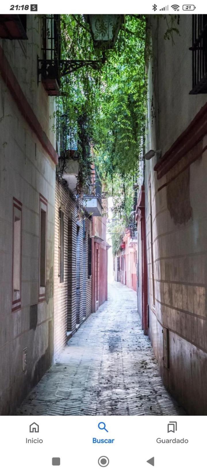 La Casa De Pepa Apartment Seville Ngoại thất bức ảnh