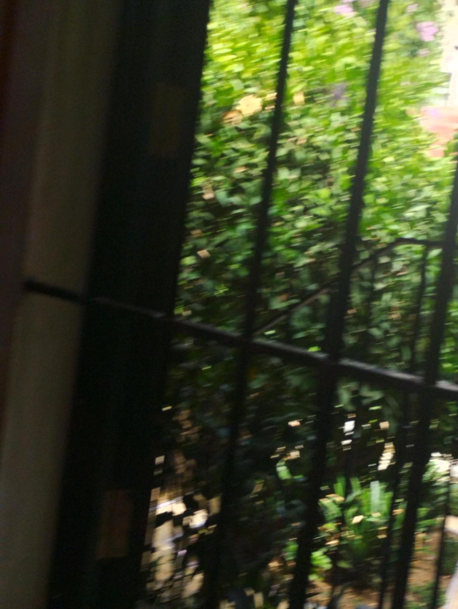 La Casa De Pepa Apartment Seville Ngoại thất bức ảnh