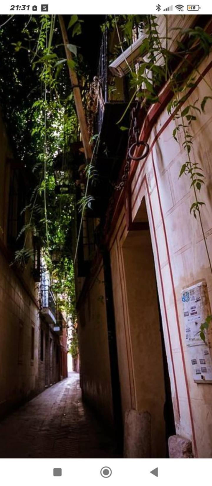 La Casa De Pepa Apartment Seville Ngoại thất bức ảnh